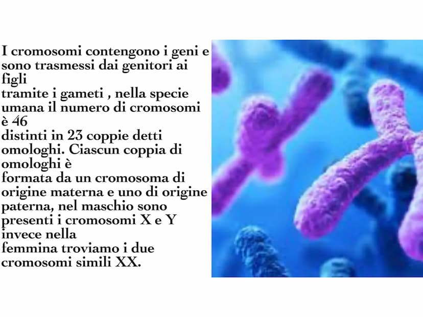 INA
O
10 Il DNA è una molecola che
si trova all'interno di ogni
cellula e contiene tutte le
informazioni sul nostro
organismo. Il DNA è dist