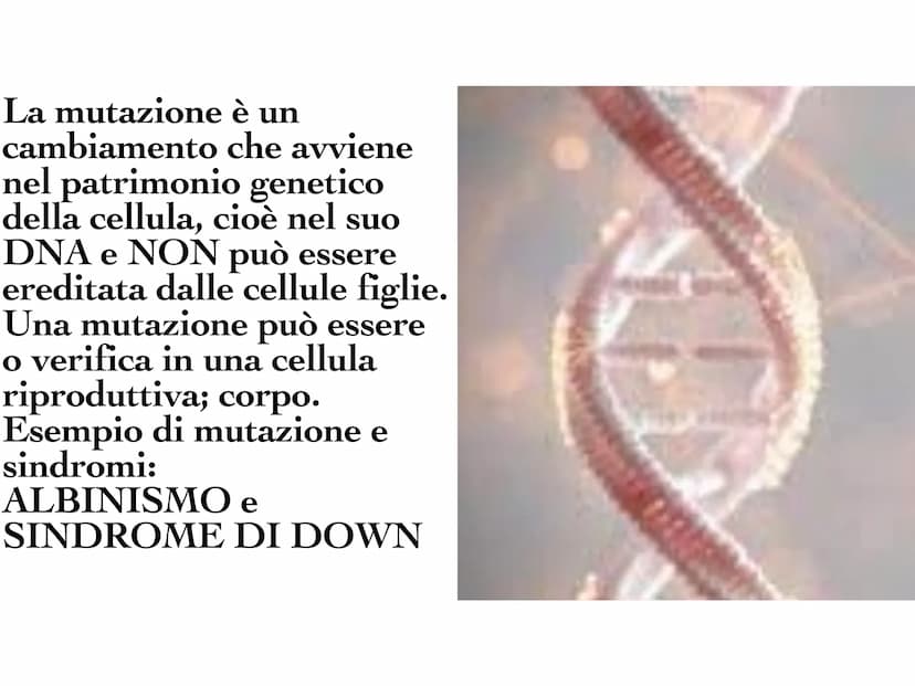 INA
O
10 Il DNA è una molecola che
si trova all'interno di ogni
cellula e contiene tutte le
informazioni sul nostro
organismo. Il DNA è dist