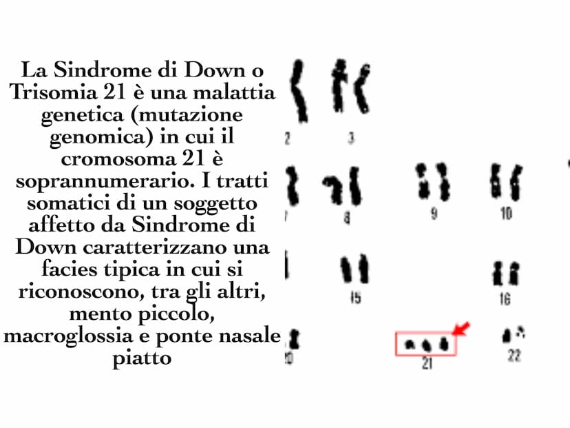 INA
O
10 Il DNA è una molecola che
si trova all'interno di ogni
cellula e contiene tutte le
informazioni sul nostro
organismo. Il DNA è dist