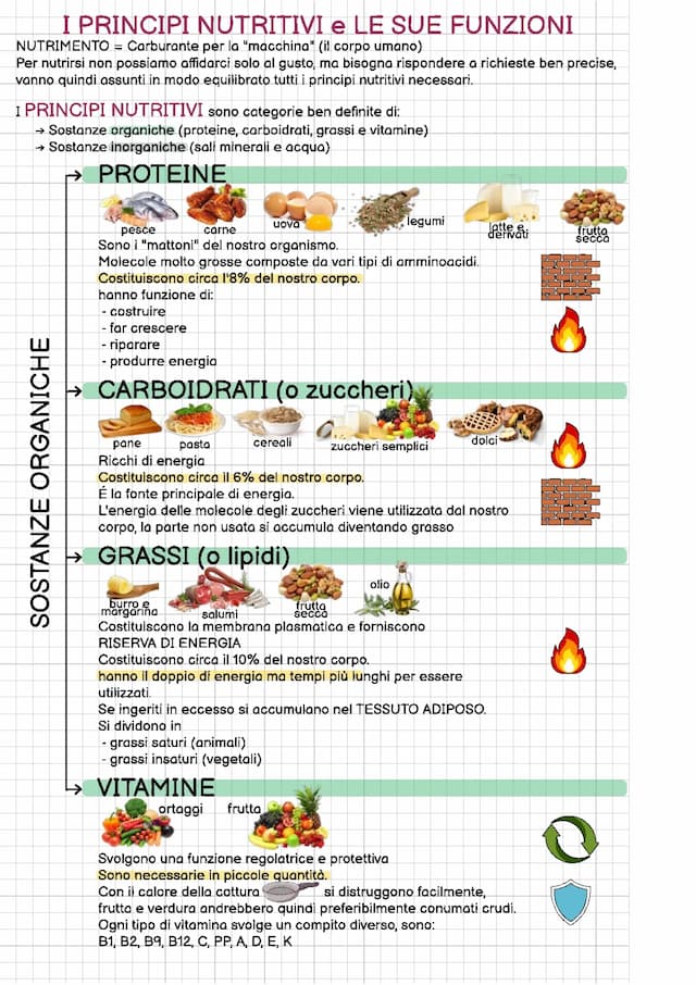 Know L'alimentazione thumbnail
