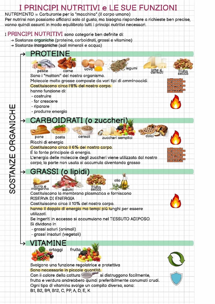 Know L'alimentazione thumbnail