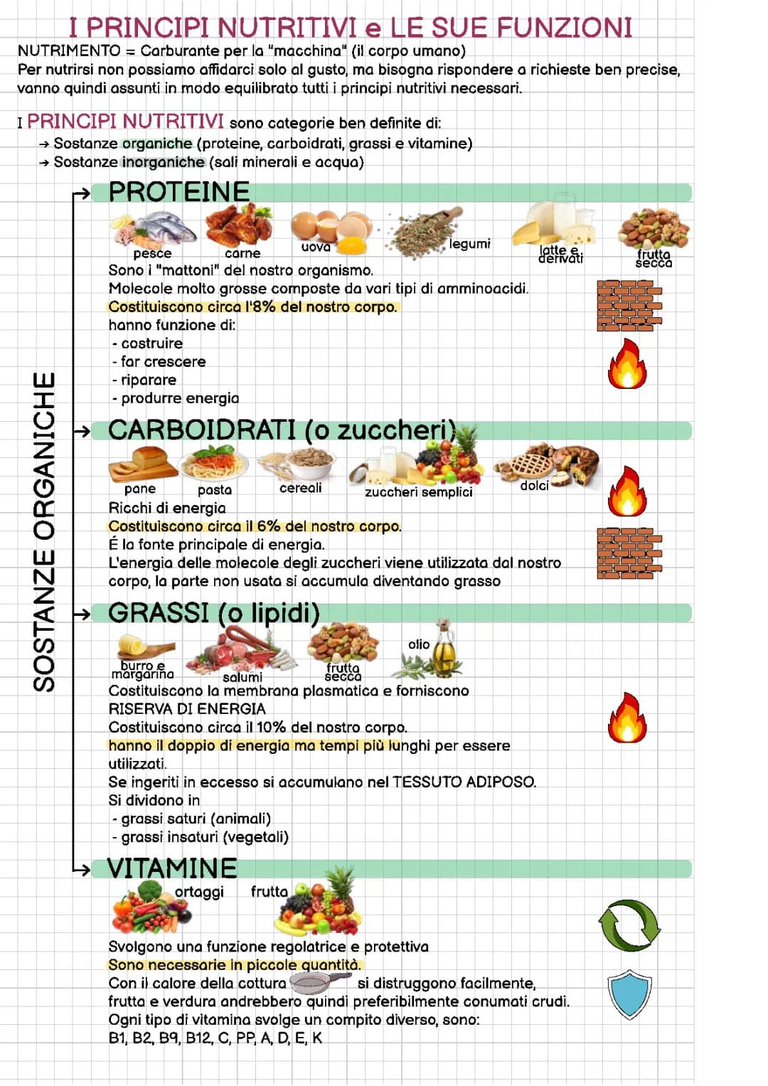 I principi nutritivi: riassunto e schema