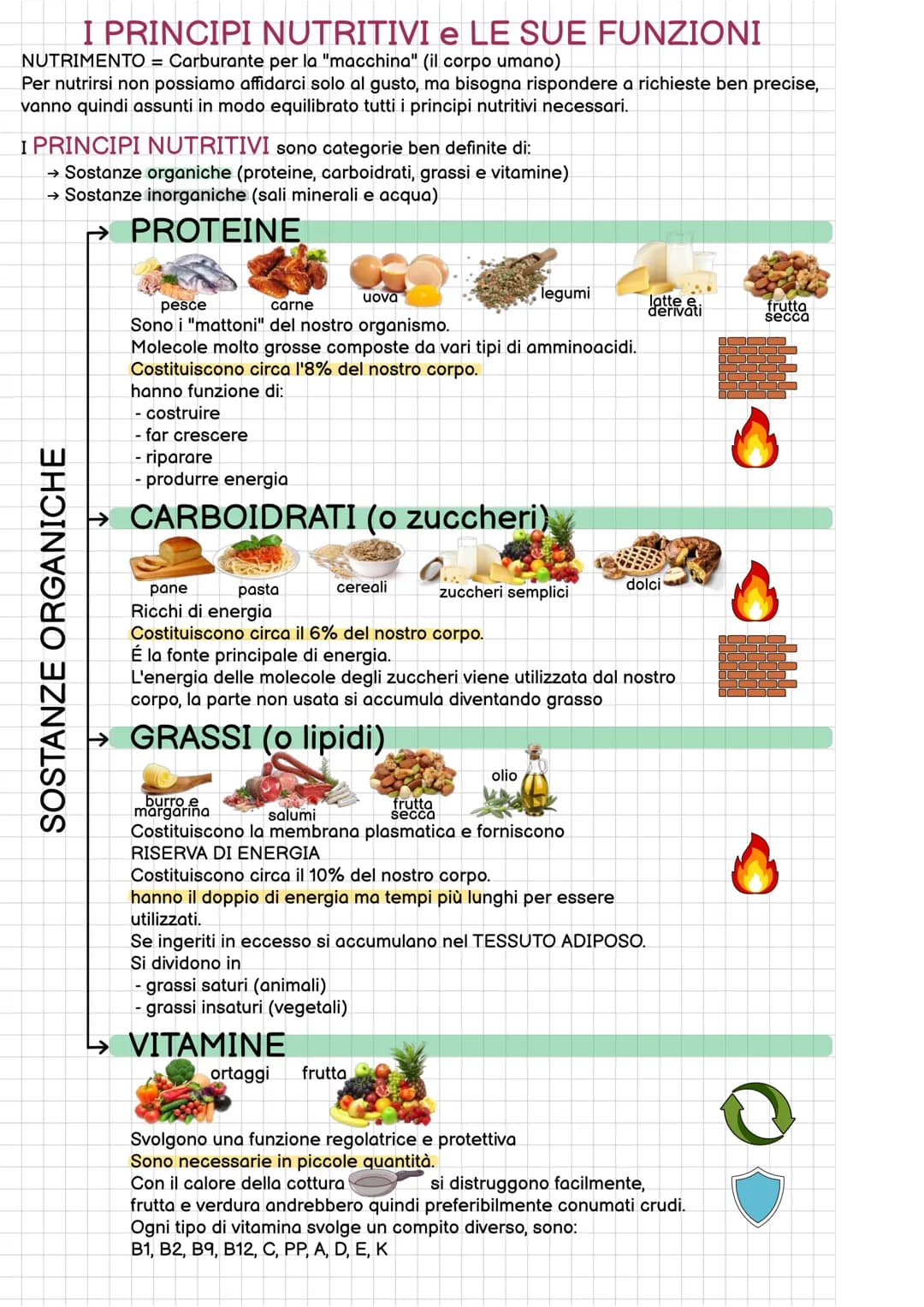 
<p>Il nutrimento è il carburante necessario per il funzionamento del nostro corpo. Non possiamo basare le nostre scelte alimentari esclusiv