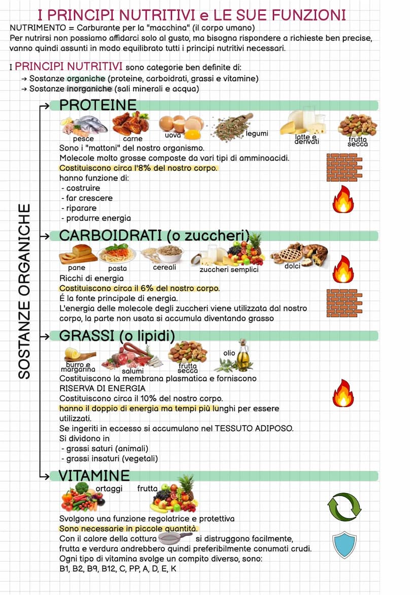 
<p>Il nutrimento è il carburante necessario per il funzionamento del nostro corpo. Non possiamo basare le nostre scelte alimentari esclusiv
