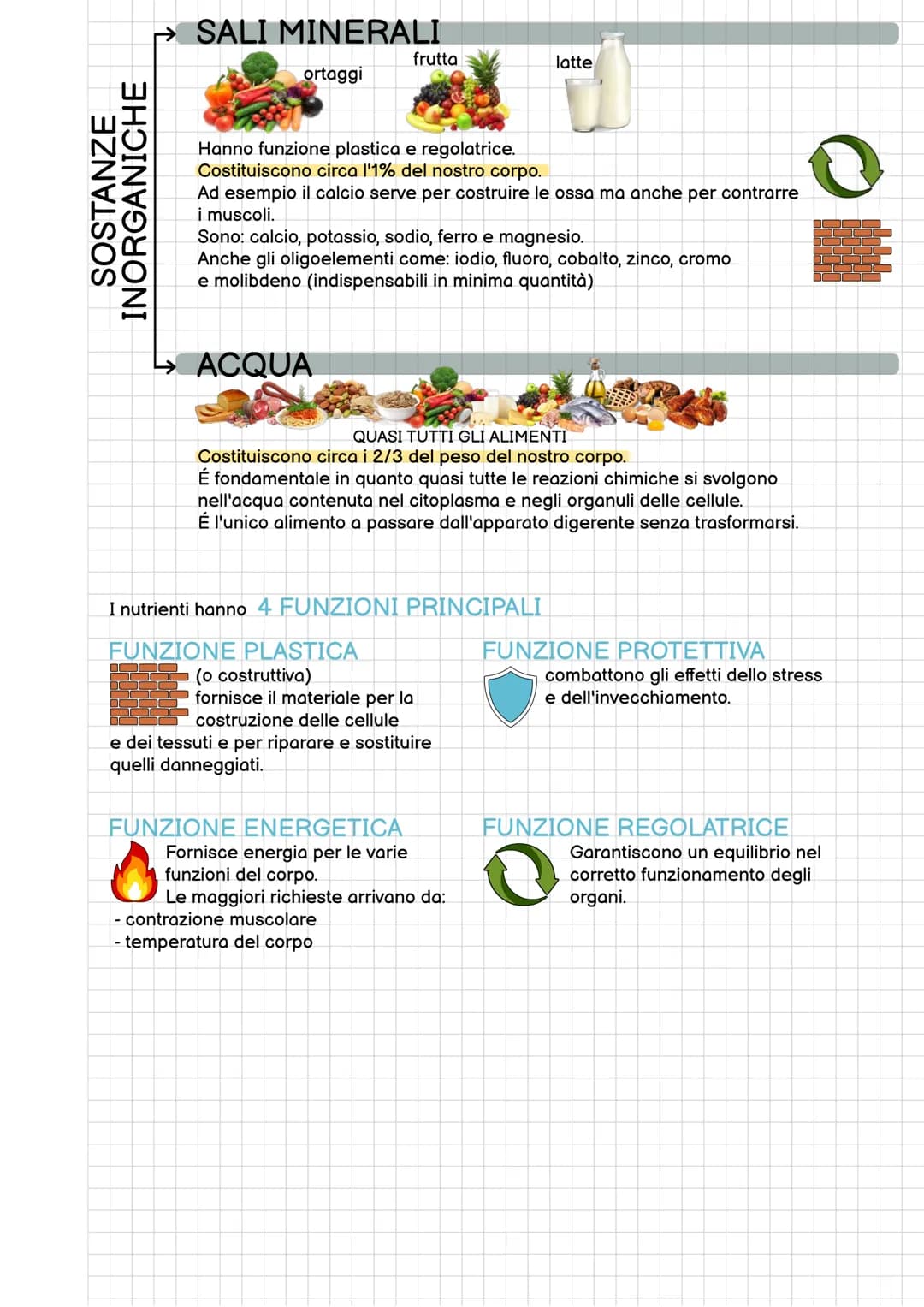 
<p>Il nutrimento è il carburante necessario per il funzionamento del nostro corpo. Non possiamo basare le nostre scelte alimentari esclusiv