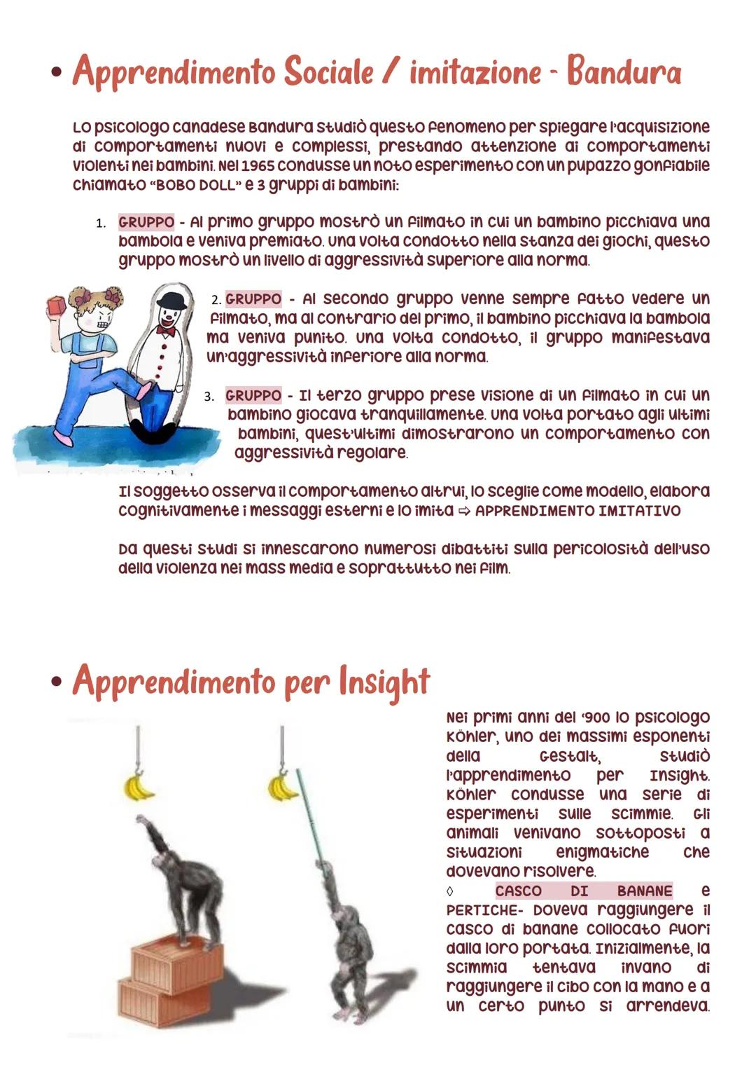 D'apprentistan's
L'apprendimento è un cambiamento comportamentale che dipende dalle nostre
esperienze passate e dalle informazioni acquisite