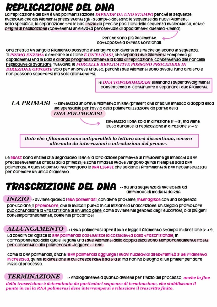 STRUTTURA DEL DNA
NUCLEOTIDI -> monomeri degli acidi nucleici
11
O-P-O
Gruppo pospato
Ingegneria genetica
_³CH₂
zucchero
CH
HC
OH
zucchero
d