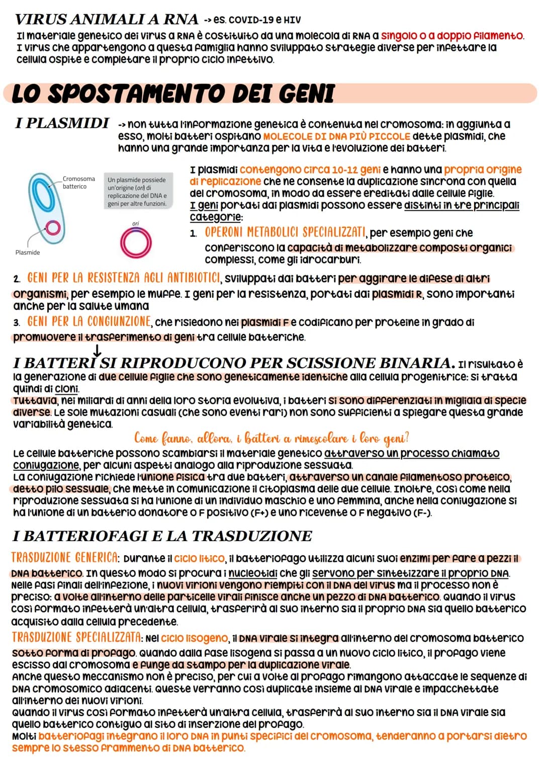 STRUTTURA DEL DNA
NUCLEOTIDI -> monomeri degli acidi nucleici
11
O-P-O
Gruppo pospato
Ingegneria genetica
_³CH₂
zucchero
CH
HC
OH
zucchero
d