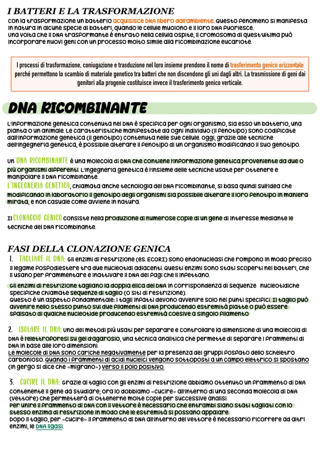 STRUTTURA DEL DNA
NUCLEOTIDI -> monomeri degli acidi nucleici
11
O-P-O
Gruppo pospato
Ingegneria genetica
_³CH₂
zucchero
CH
HC
OH
zucchero
d
