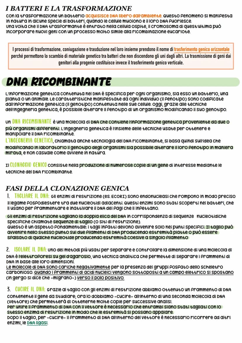 STRUTTURA DEL DNA
NUCLEOTIDI -> monomeri degli acidi nucleici
11
O-P-O
Gruppo pospato
Ingegneria genetica
_³CH₂
zucchero
CH
HC
OH
zucchero
d