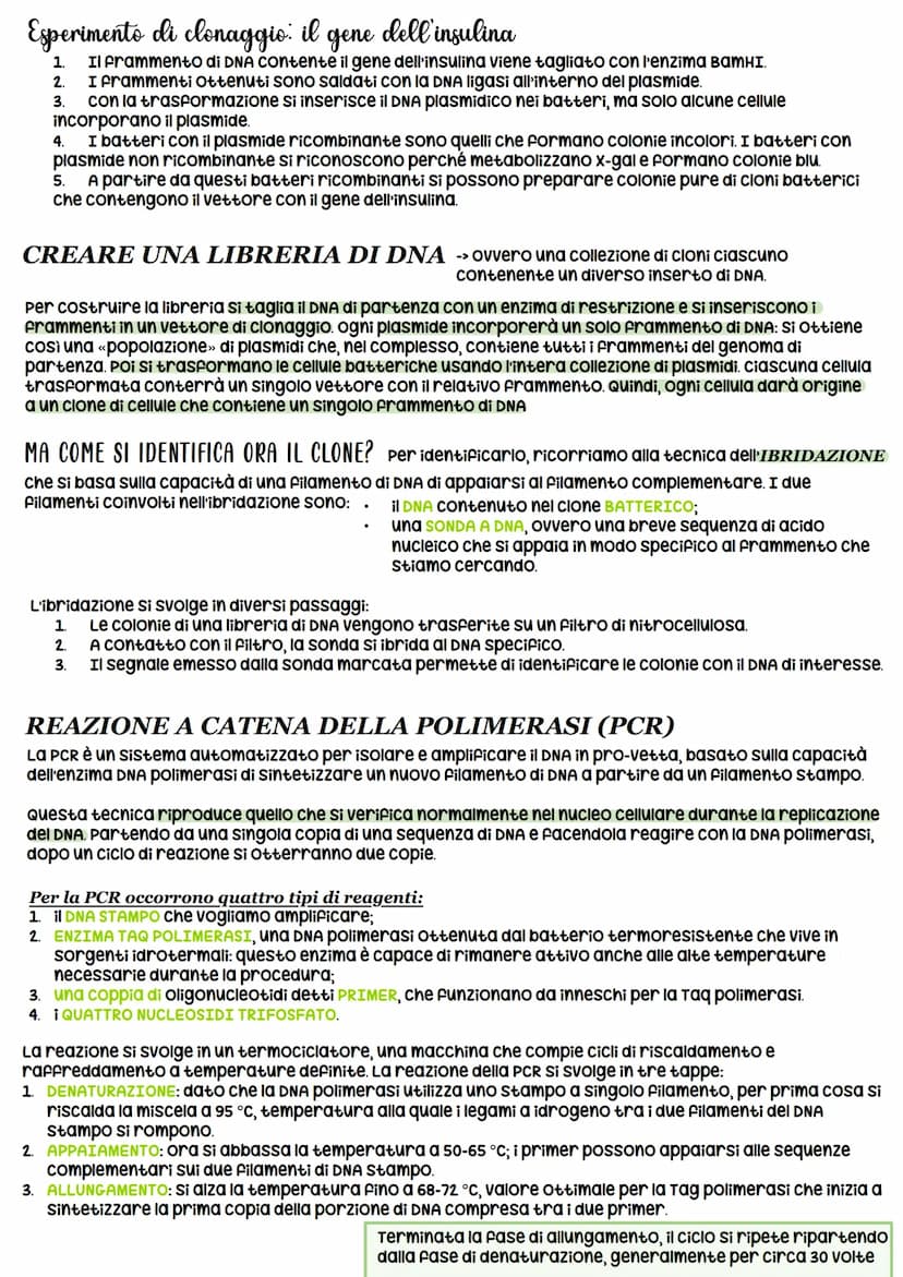 STRUTTURA DEL DNA
NUCLEOTIDI -> monomeri degli acidi nucleici
11
O-P-O
Gruppo pospato
Ingegneria genetica
_³CH₂
zucchero
CH
HC
OH
zucchero
d