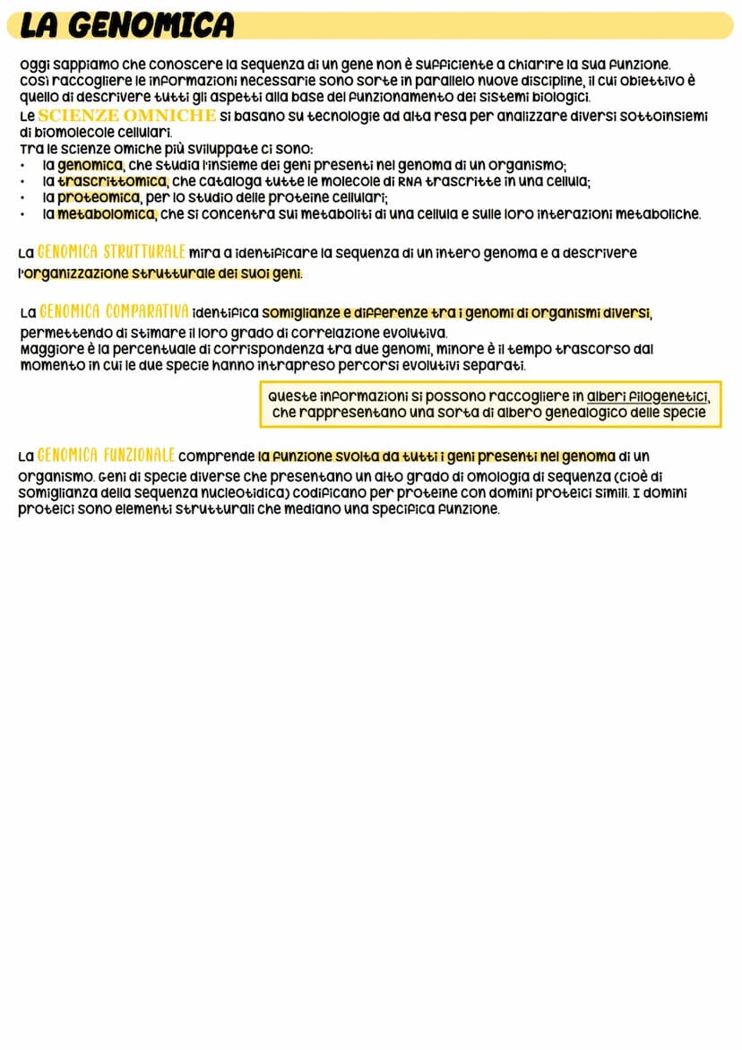 STRUTTURA DEL DNA
NUCLEOTIDI -> monomeri degli acidi nucleici
11
O-P-O
Gruppo pospato
Ingegneria genetica
_³CH₂
zucchero
CH
HC
OH
zucchero
d