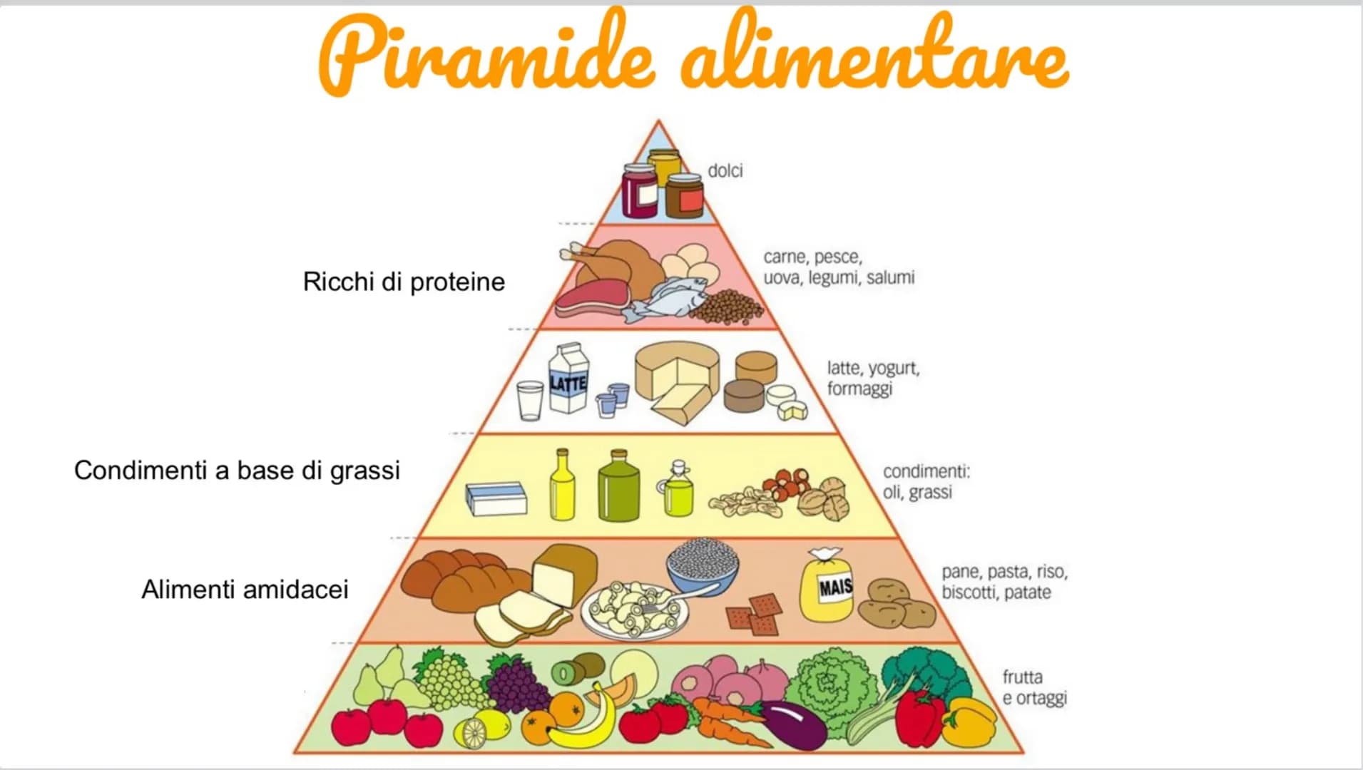 Carboidrati
Hanno funzione energetica
I più importanti sono:
Amido:contenuto negli alimenti a base
di cereali
Saccarosio: zucchero da tavola