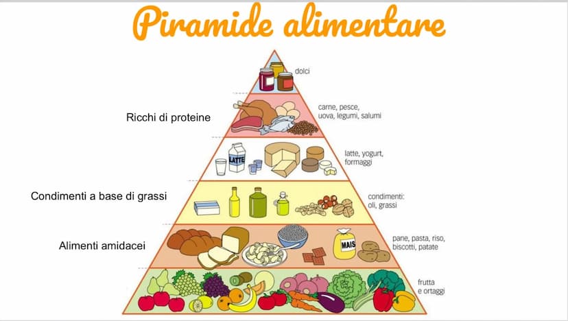 Carboidrati
Hanno funzione energetica
I più importanti sono:
Amido:contenuto negli alimenti a base
di cereali
Saccarosio: zucchero da tavola