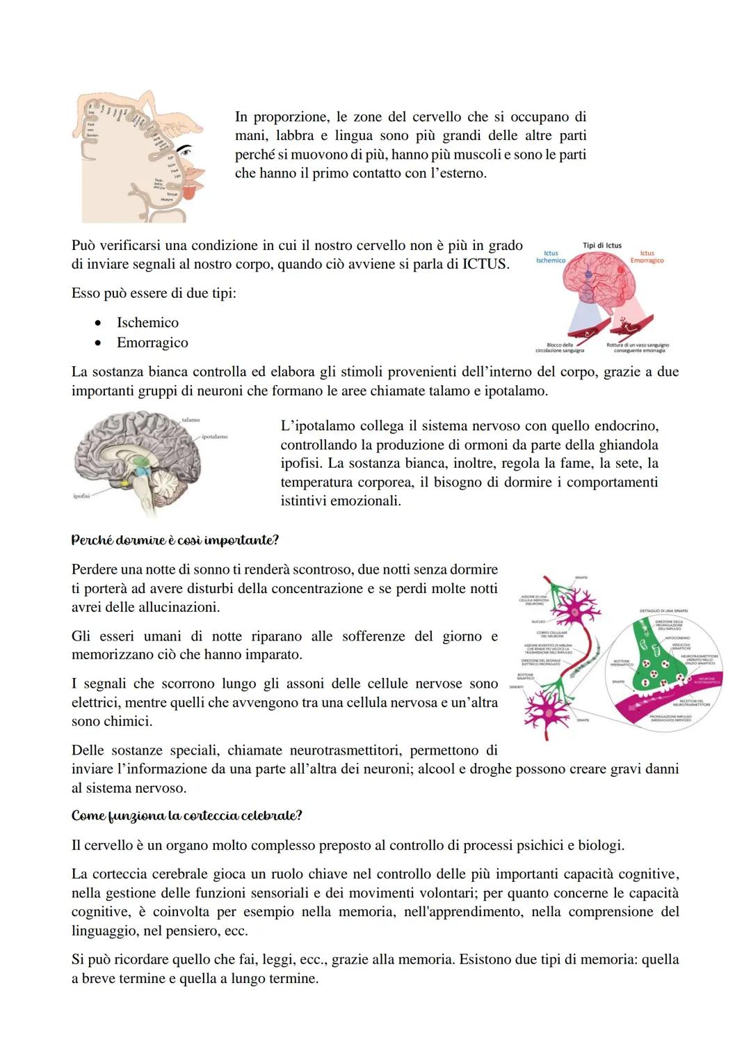Il cervello in generale
Il cervello è l'organo più complesso del nostro organismo, è formato da miliardi di neuroni che sono
connessi tra di