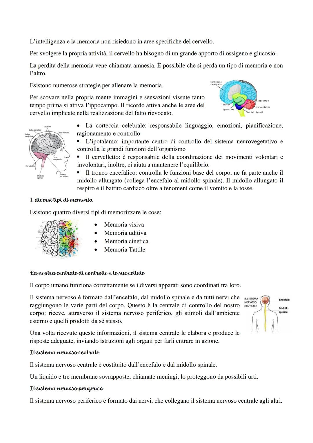 Il cervello in generale
Il cervello è l'organo più complesso del nostro organismo, è formato da miliardi di neuroni che sono
connessi tra di