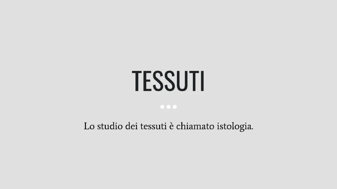 TESSUTI