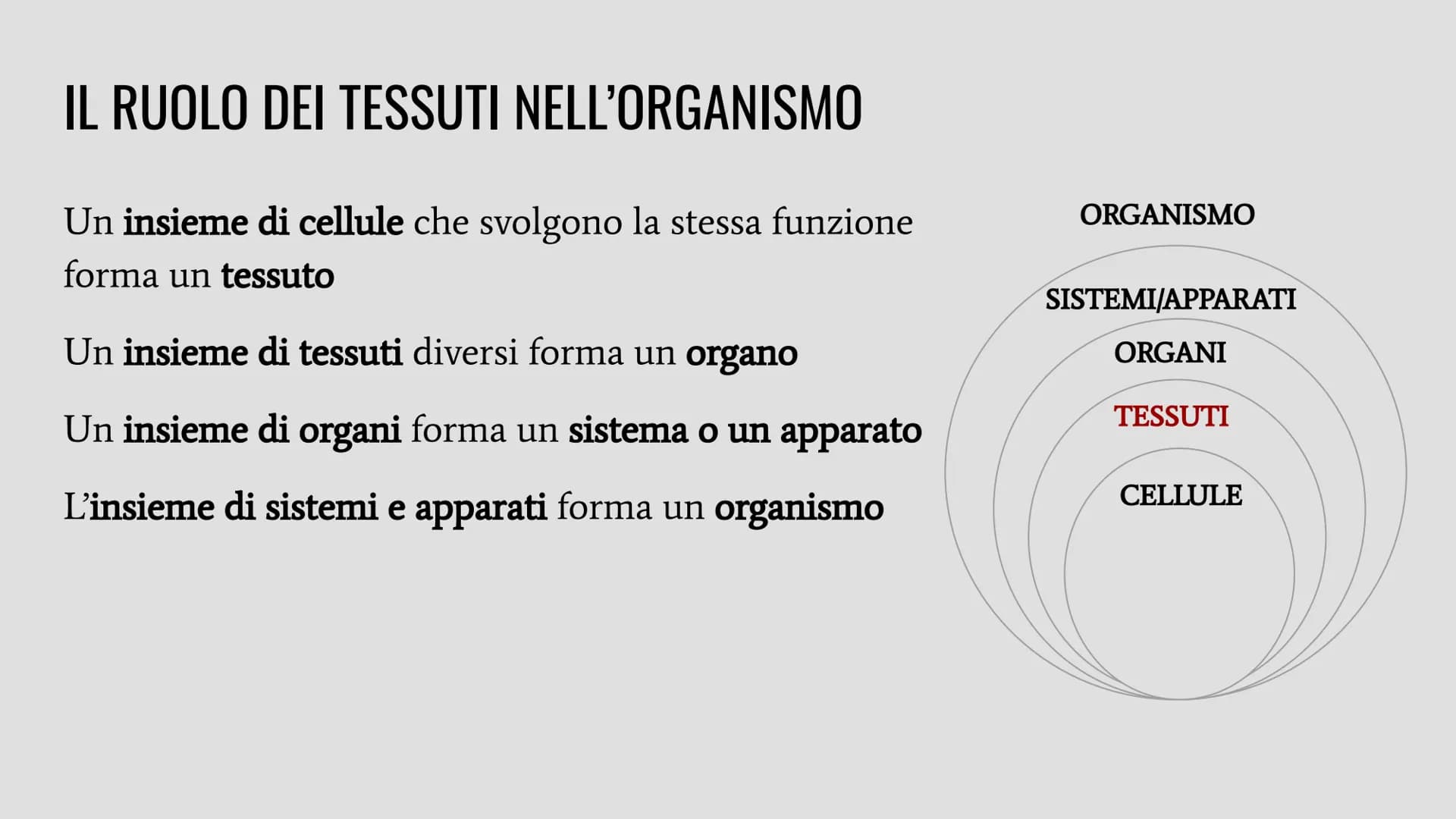 TESSUTI
Lo studio dei tessuti è chiamato istologia. IL RUOLO DEI TESSUTI NELL'ORGANISMO
Un insieme di cellule che svolgono la stessa funzion