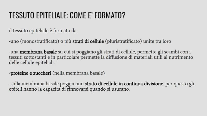 TESSUTI
Lo studio dei tessuti è chiamato istologia. IL RUOLO DEI TESSUTI NELL'ORGANISMO
Un insieme di cellule che svolgono la stessa funzion