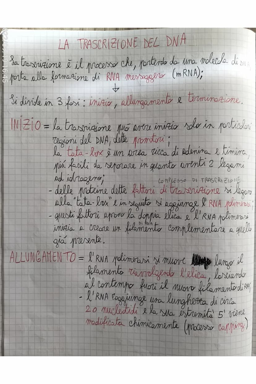 TERMINAZIONE = quando l'RNA plimerasi incontra delle sequente
di lasi dette sequenze d'arresto si stacca e
il nuoro filaments di RNA viene r