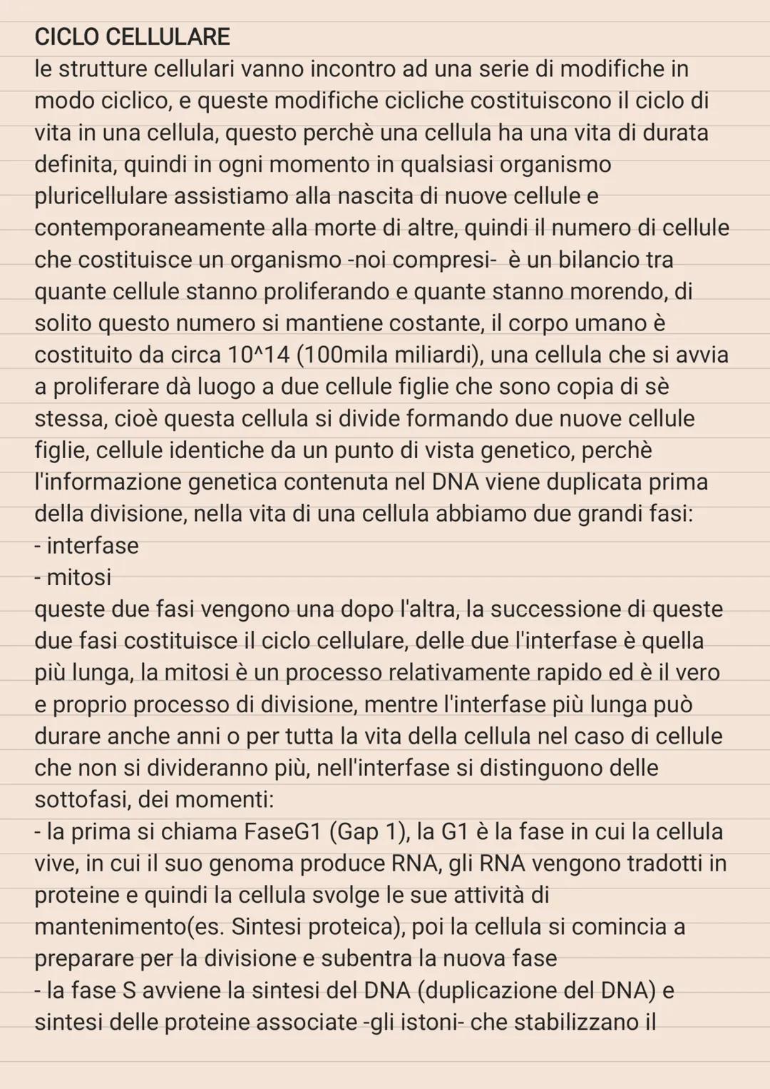 Ciclo cellulare e morte cellulare 