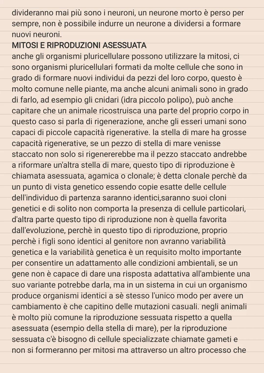 # CICLO CELLULARE

le strutture cellulari vanno incontro ad una serie di modifiche in
modo ciclico, e queste modifiche cicliche costituiscon