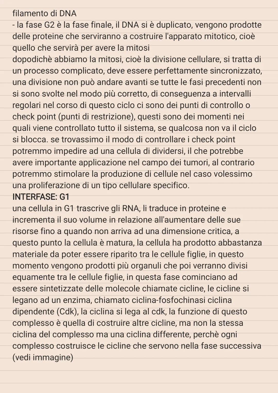 # CICLO CELLULARE

le strutture cellulari vanno incontro ad una serie di modifiche in
modo ciclico, e queste modifiche cicliche costituiscon