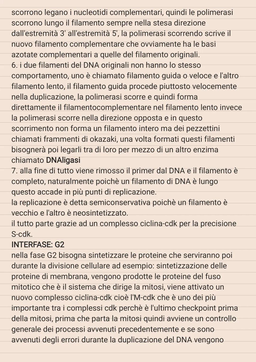 # CICLO CELLULARE

le strutture cellulari vanno incontro ad una serie di modifiche in
modo ciclico, e queste modifiche cicliche costituiscon