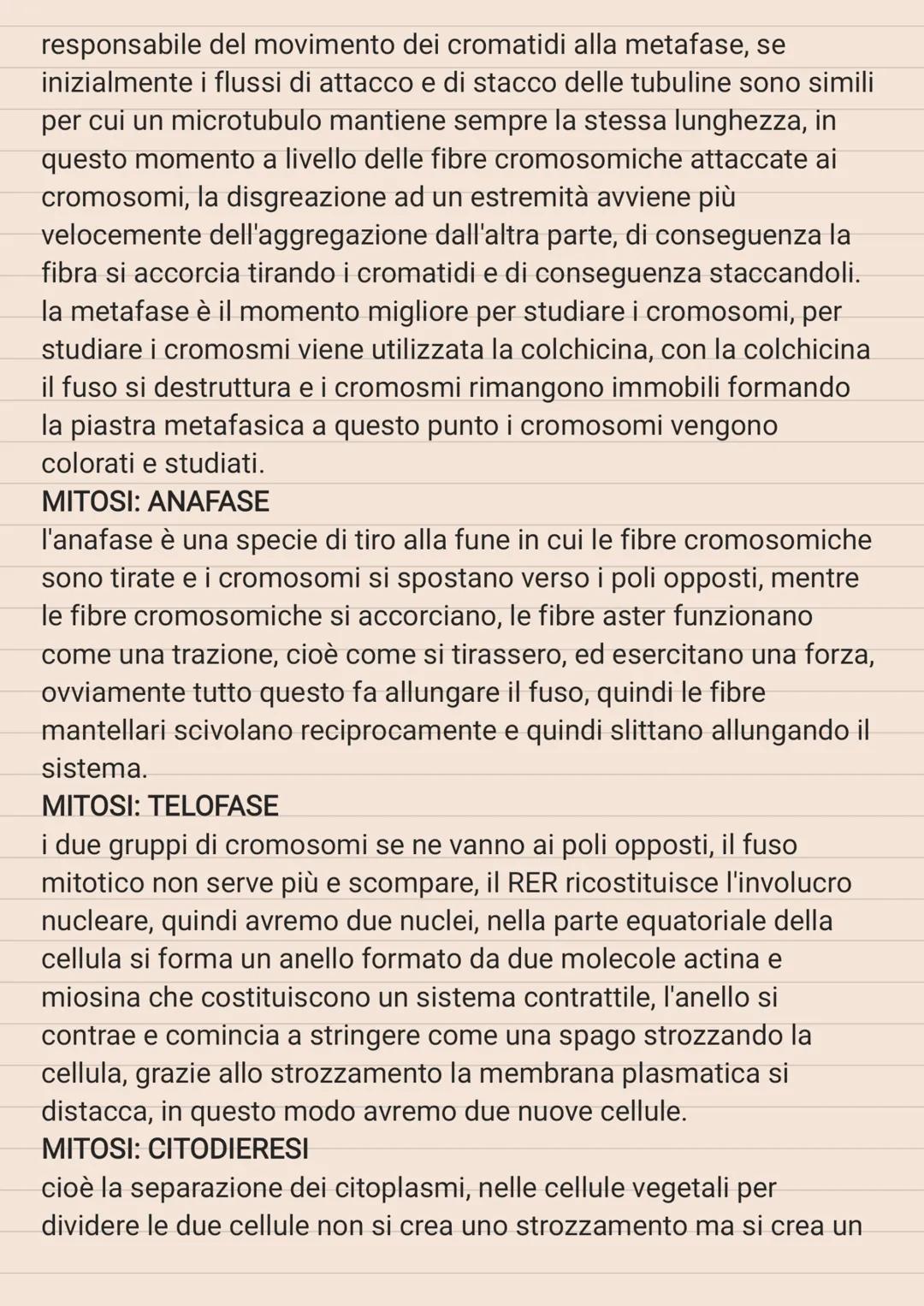 # CICLO CELLULARE

le strutture cellulari vanno incontro ad una serie di modifiche in
modo ciclico, e queste modifiche cicliche costituiscon