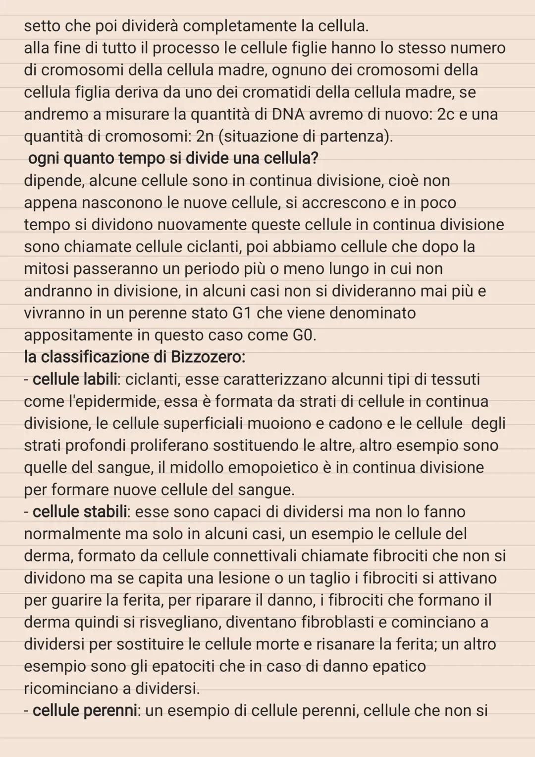 # CICLO CELLULARE

le strutture cellulari vanno incontro ad una serie di modifiche in
modo ciclico, e queste modifiche cicliche costituiscon