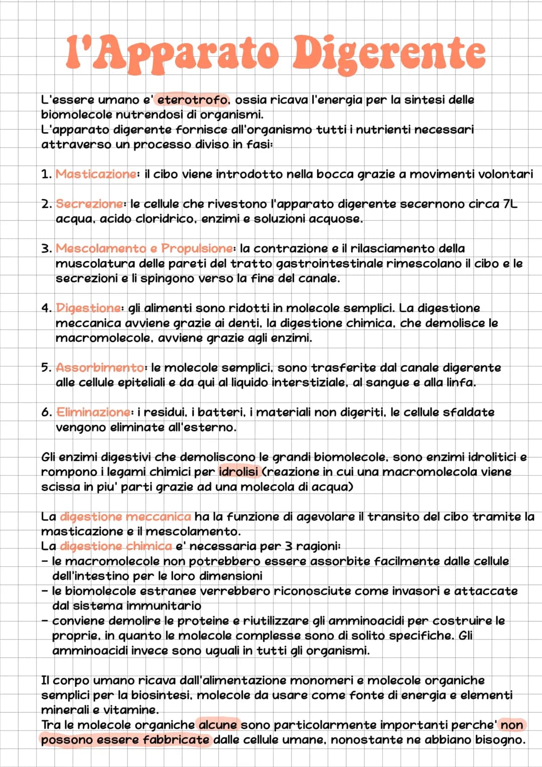l'Apparato Digerente
L'essere umano e' eterotrofo, ossia ricava l'energia per la sintesi delle
biomolecole nutrendosi di organismi.
L'appara