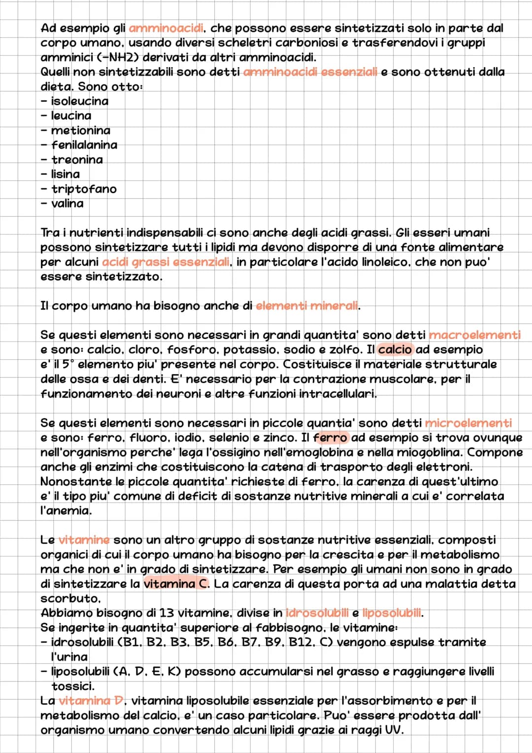 l'Apparato Digerente
L'essere umano e' eterotrofo, ossia ricava l'energia per la sintesi delle
biomolecole nutrendosi di organismi.
L'appara