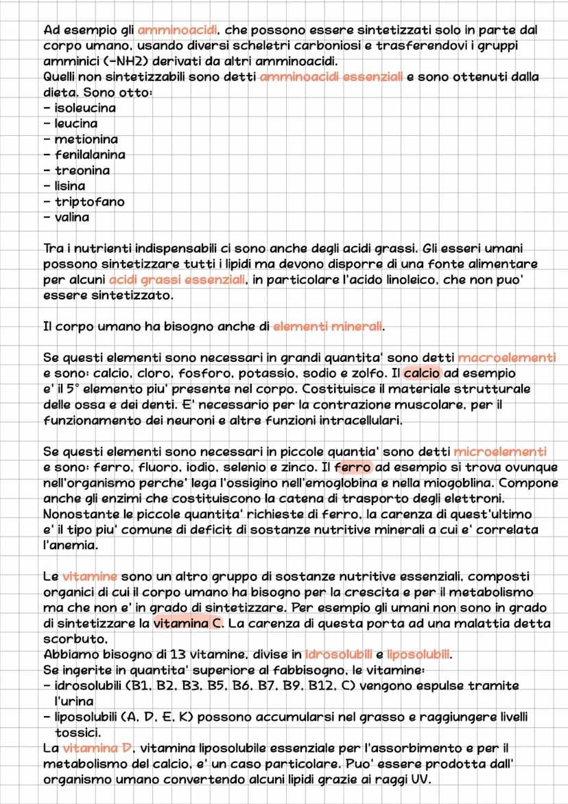 l'Apparato Digerente
L'essere umano e' eterotrofo, ossia ricava l'energia per la sintesi delle
biomolecole nutrendosi di organismi.
L'appara