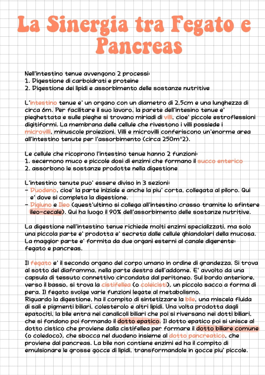 l'Apparato Digerente
L'essere umano e' eterotrofo, ossia ricava l'energia per la sintesi delle
biomolecole nutrendosi di organismi.
L'appara