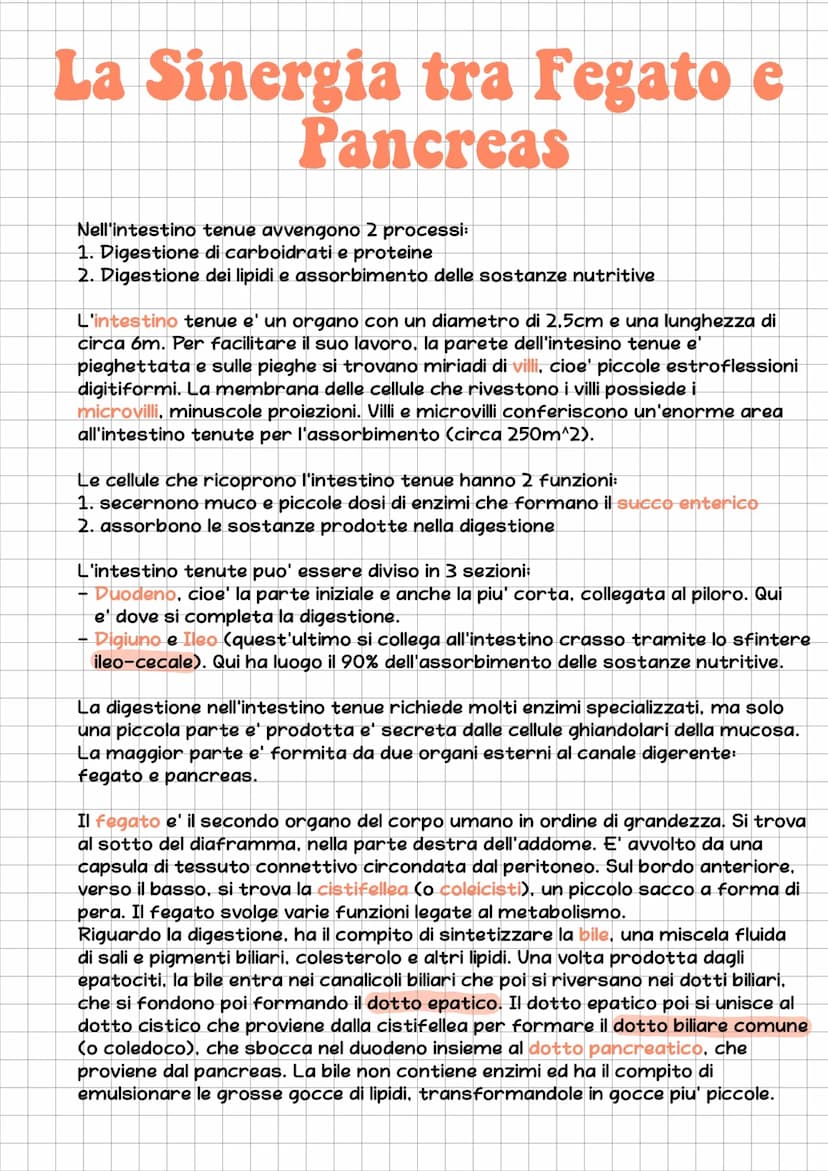 l'Apparato Digerente
L'essere umano e' eterotrofo, ossia ricava l'energia per la sintesi delle
biomolecole nutrendosi di organismi.
L'appara