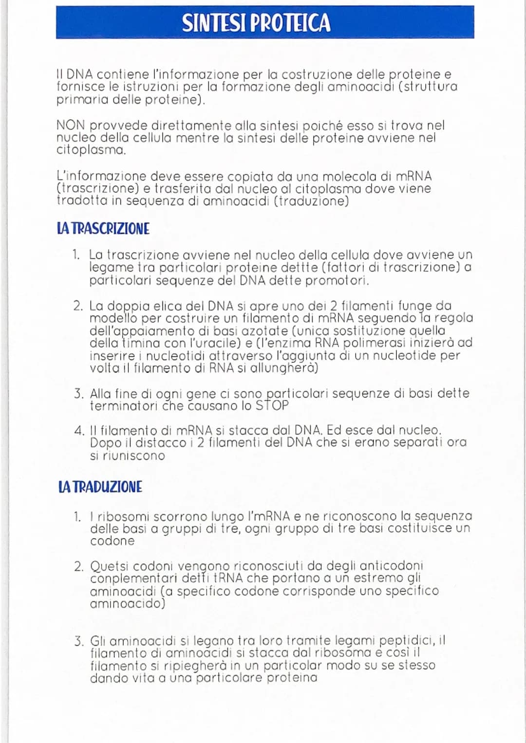 DNA
INTRODUZIONE= tutti gli organismi possiedono all'interno del nucleo di
ogni cellula dei corpuscoli detti cromosomi (costituiti da una
so