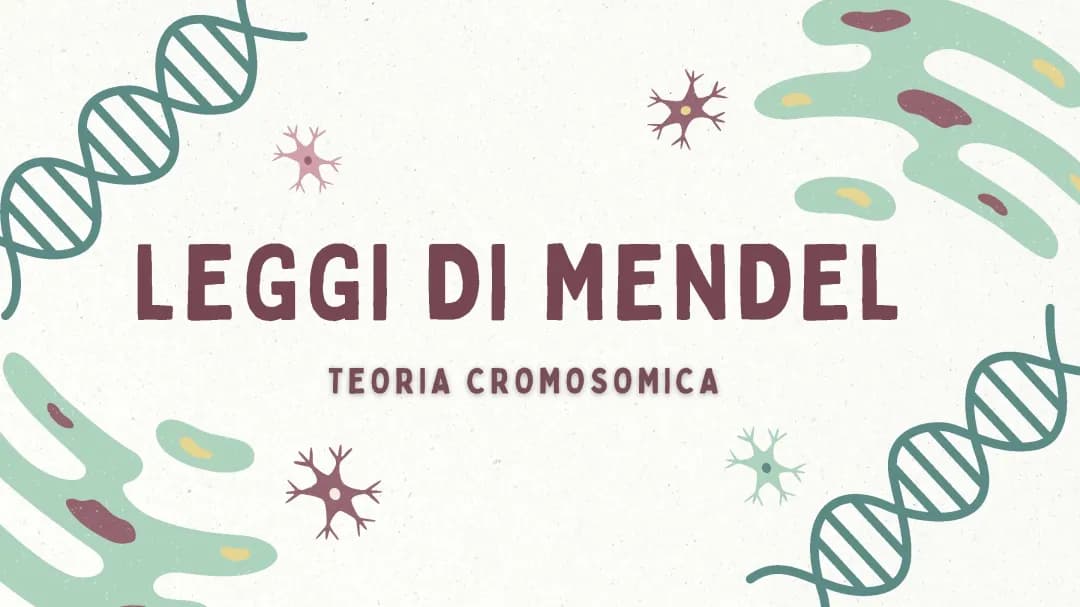 mendel è la teoria cromosomica