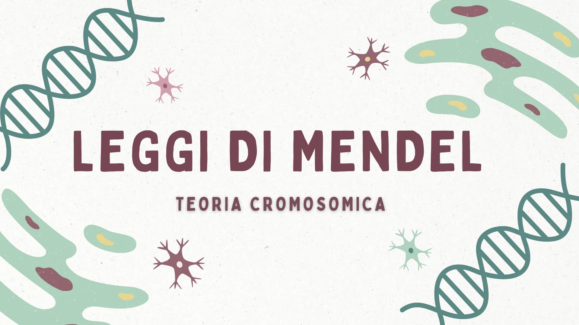 MMI
LEGGI DI MENDEL
TEORIA CROMOSOMICA
XININIX FUME
MENDEL E LE LEGGI
DELL'EREDITARIETA'
J GREGOR MENDEL
Gregor Mendel oltre che un monaco e