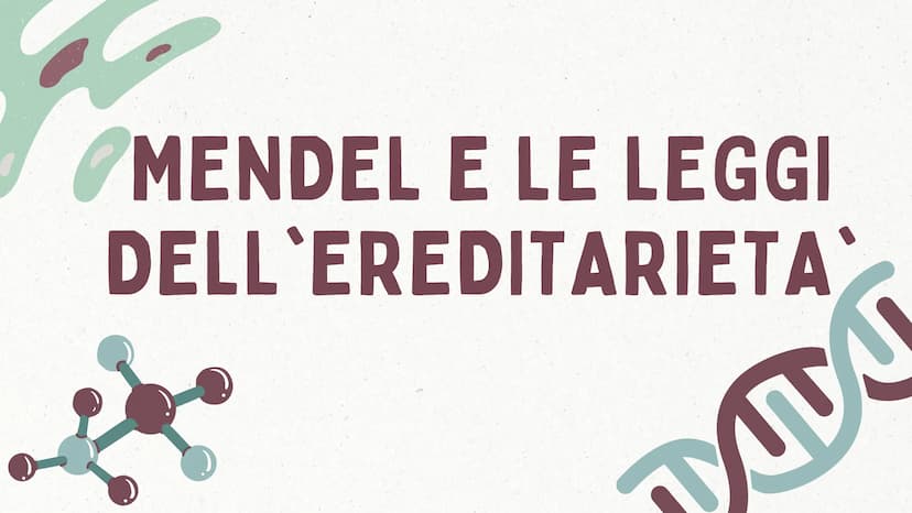 MMI
LEGGI DI MENDEL
TEORIA CROMOSOMICA
XININIX FUME
MENDEL E LE LEGGI
DELL'EREDITARIETA'
J GREGOR MENDEL
Gregor Mendel oltre che un monaco e