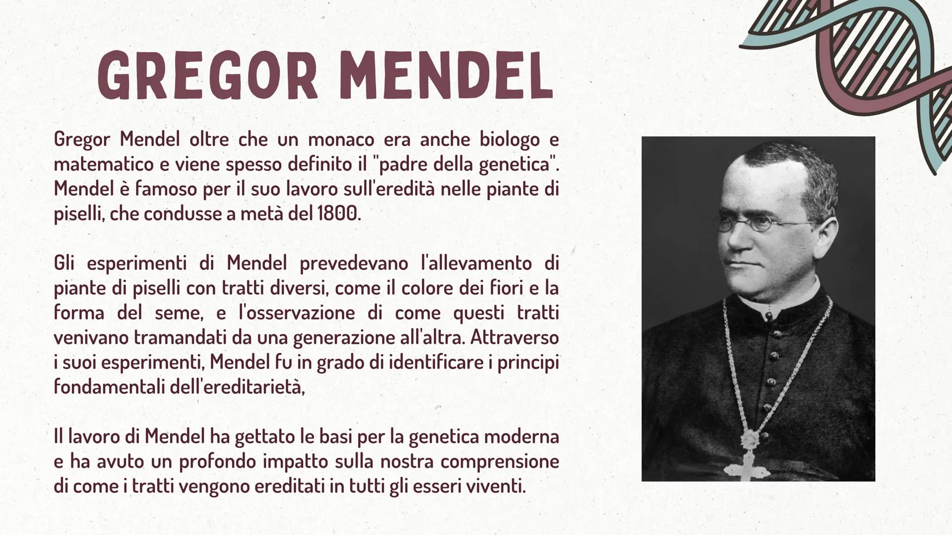 MMI
LEGGI DI MENDEL
TEORIA CROMOSOMICA
XININIX FUME
MENDEL E LE LEGGI
DELL'EREDITARIETA'
J GREGOR MENDEL
Gregor Mendel oltre che un monaco e