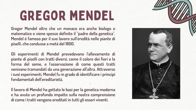 MMI
LEGGI DI MENDEL
TEORIA CROMOSOMICA
XININIX FUME
MENDEL E LE LEGGI
DELL'EREDITARIETA'
J GREGOR MENDEL
Gregor Mendel oltre che un monaco e