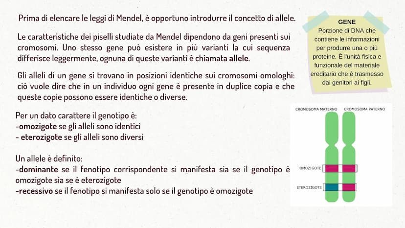 MMI
LEGGI DI MENDEL
TEORIA CROMOSOMICA
XININIX FUME
MENDEL E LE LEGGI
DELL'EREDITARIETA'
J GREGOR MENDEL
Gregor Mendel oltre che un monaco e