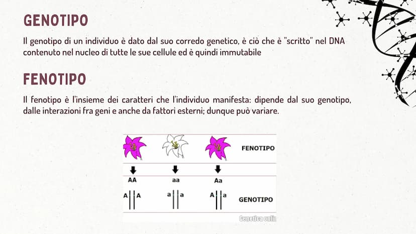 MMI
LEGGI DI MENDEL
TEORIA CROMOSOMICA
XININIX FUME
MENDEL E LE LEGGI
DELL'EREDITARIETA'
J GREGOR MENDEL
Gregor Mendel oltre che un monaco e