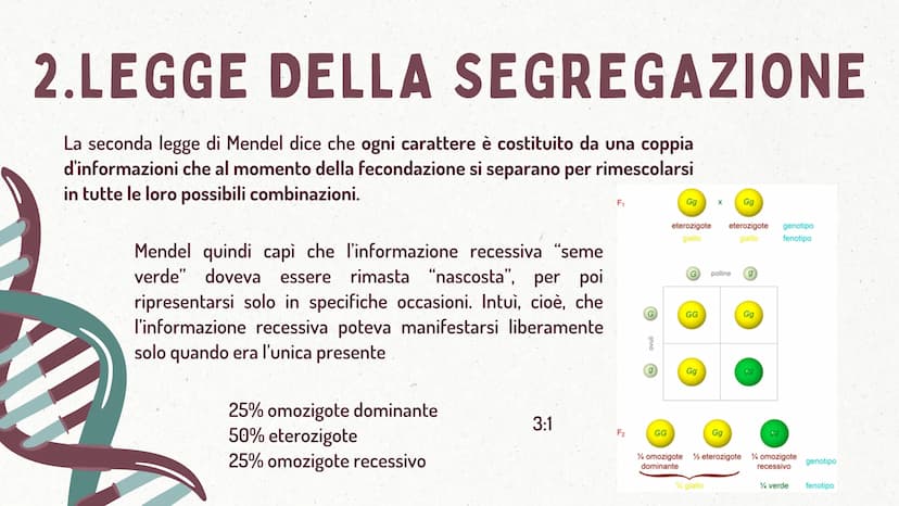 MMI
LEGGI DI MENDEL
TEORIA CROMOSOMICA
XININIX FUME
MENDEL E LE LEGGI
DELL'EREDITARIETA'
J GREGOR MENDEL
Gregor Mendel oltre che un monaco e