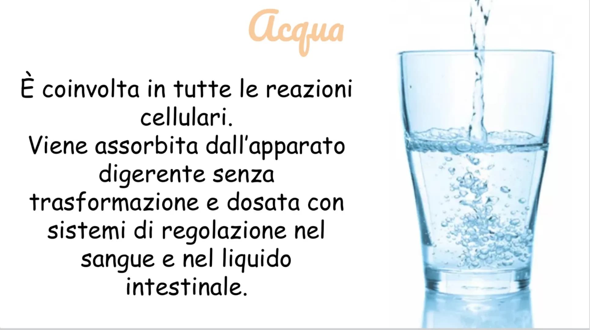 Carboidrati
Hanno funzione energetica
I più importanti sono:
Amido:contenuto negli alimenti a base
di cereali
Saccarosio: zucchero da tavola