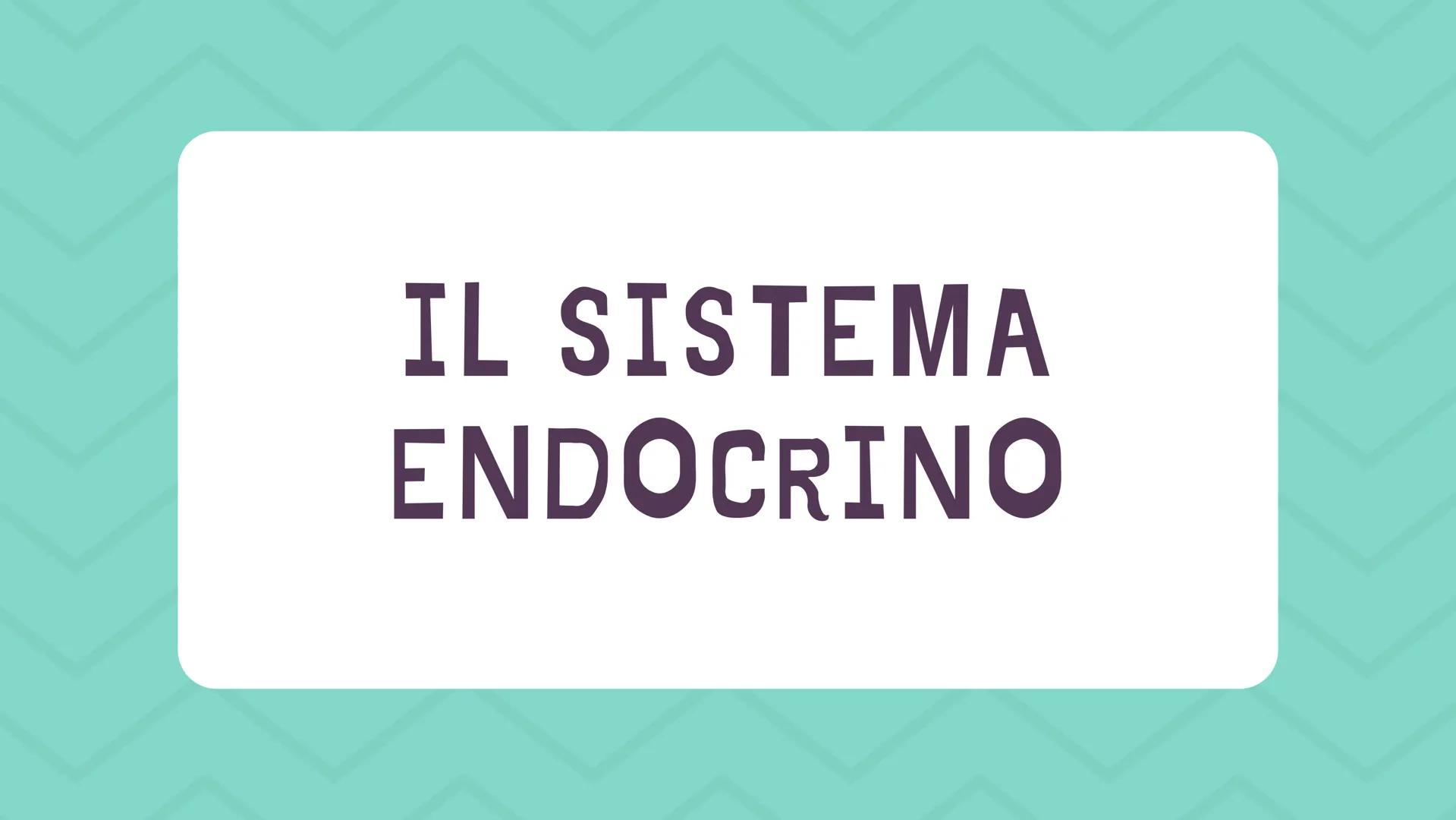 IL SISTEMA
ENDOCRINO CHE LAVORO SVOLGE?
Il sistema endocrino si occupa del controllo e della
regolazione di funzioni del nostro corpo per
es