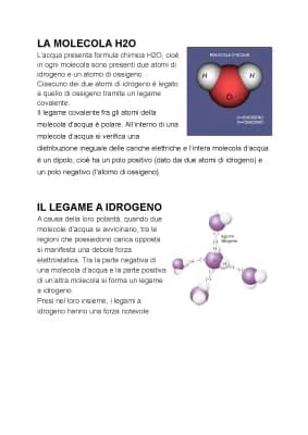 Know l'acqua thumbnail