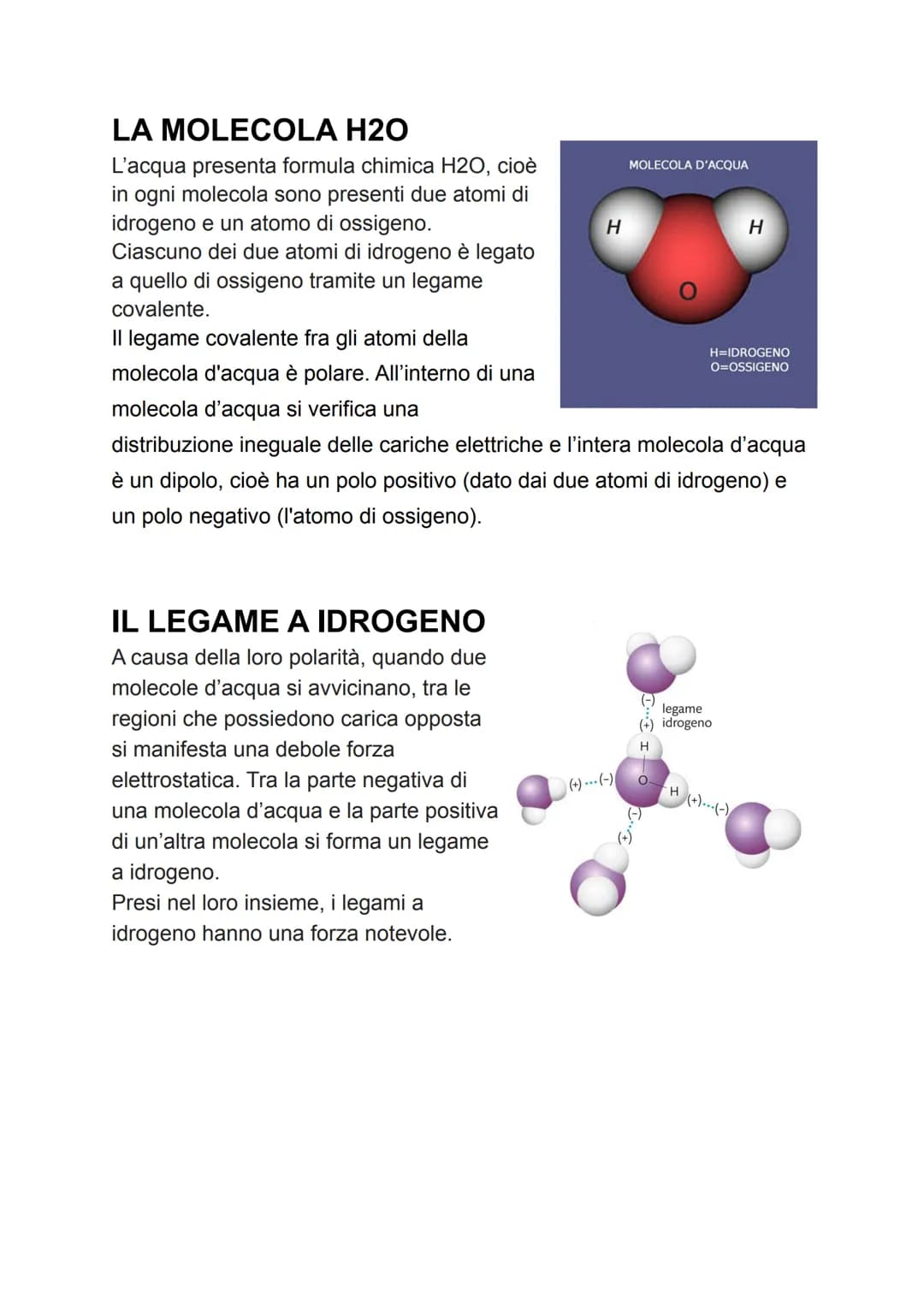 LA MOLECOLA H2O
L'acqua presenta formula chimica H2O, cioè
in ogni molecola sono presenti due atomi di
idrogeno e un atomo di ossigeno.
Cias