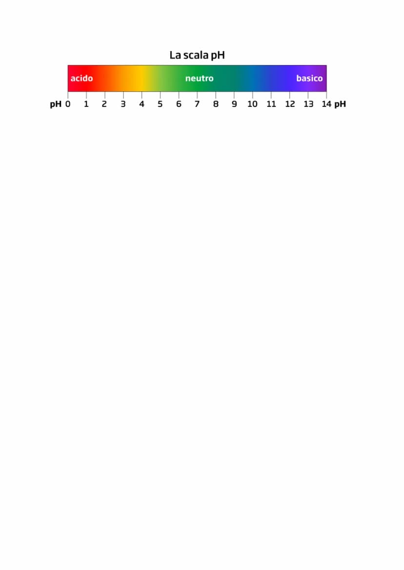 LA MOLECOLA H2O
L'acqua presenta formula chimica H2O, cioè
in ogni molecola sono presenti due atomi di
idrogeno e un atomo di ossigeno.
Cias
