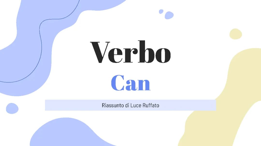 LJR Il verbo can